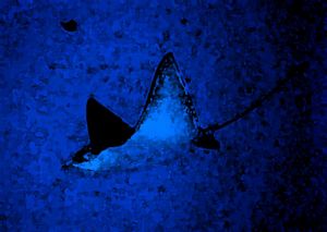 I took this Spotted Eagle Ray picture on a reef near the ... by Ron Hodges 